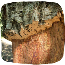 Load image into Gallery viewer, Portuguese Cork Wallet - Coral Reef UrbanroseNYC