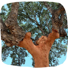 Load image into Gallery viewer, Portuguese Cork Wallet - Coral Reef UrbanroseNYC