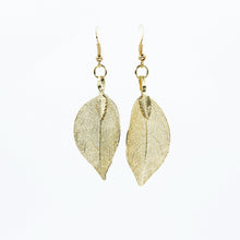 Load image into Gallery viewer, Mini Real Leaf Earrings - Gold - Mini Real Leaf Earrings - Gold - UrbanroseNYC
